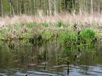 IMG 4597